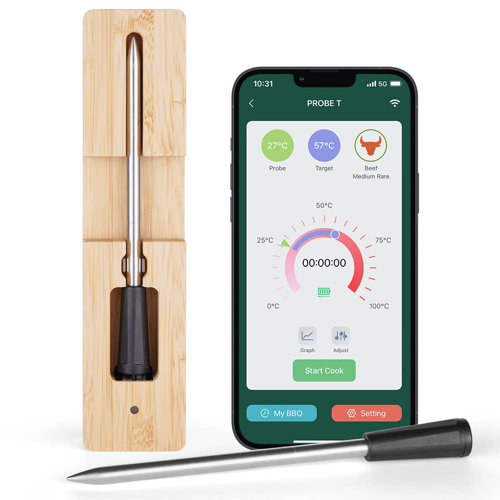 Airmsen Digital Wireless Bluetooth Meat Thermometer Wayfair Canada